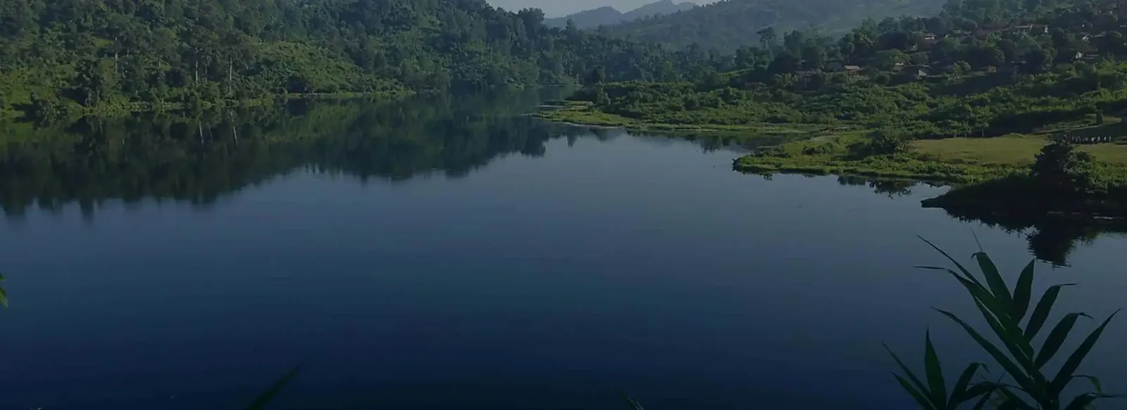 What Are the Best Practices for Improving Aquatic Management?