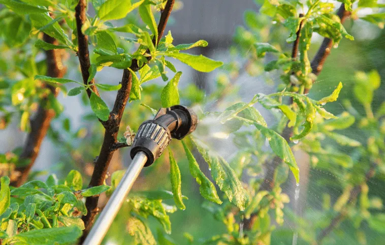Using Surfactants to Improve Disease Control