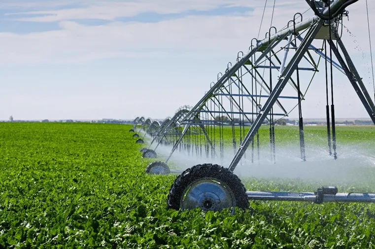 Cleaning Irrigation Systems Properly