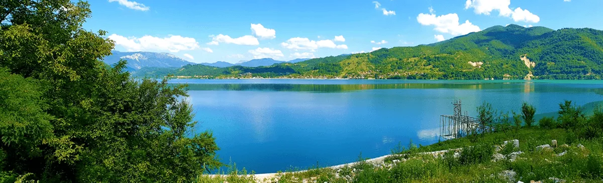 How to Successfully Control Aquatic Weeds in Lakes and Ponds