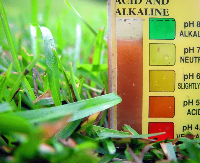 How to Improve Pesticide Solution pH Using Buffering Agents