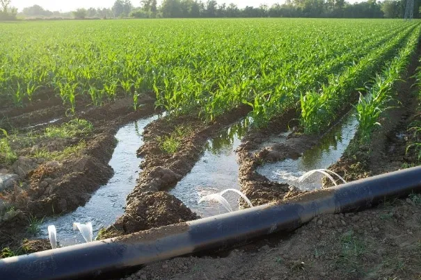 Best Water Conditioners for Irrigation/Agricultural Use