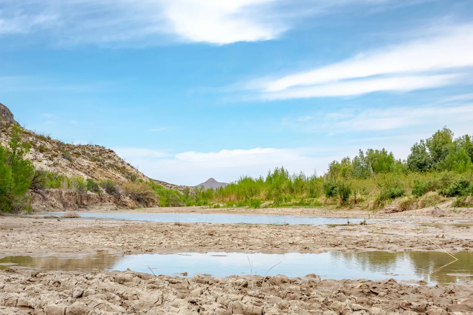 Low Water, High Weeds: Understanding the Drought Effect