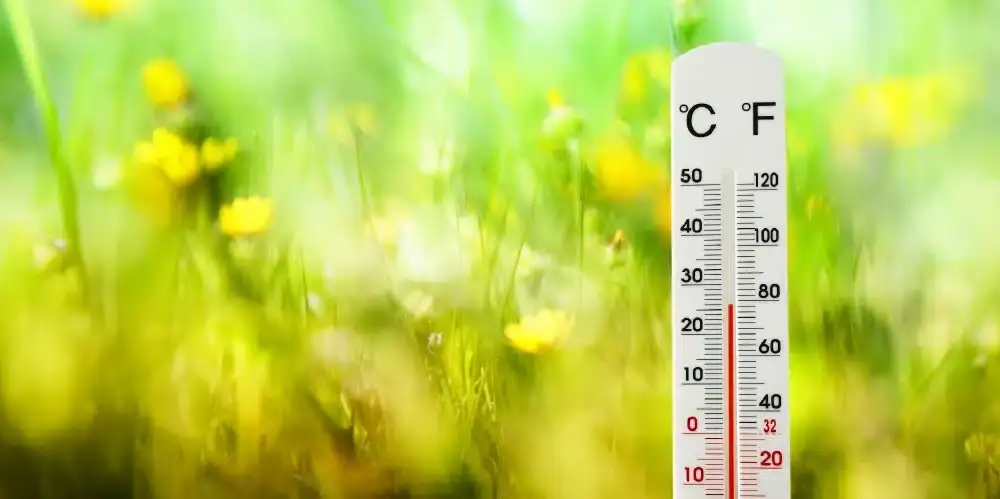 The Impact of Weather Conditions on Herbicide Spray Tank Applications