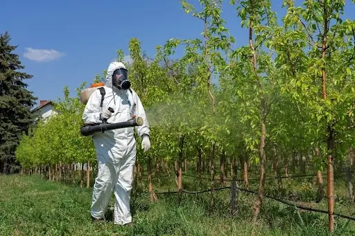 Pesticide Safety: Personal Protective Equipment (PPE)