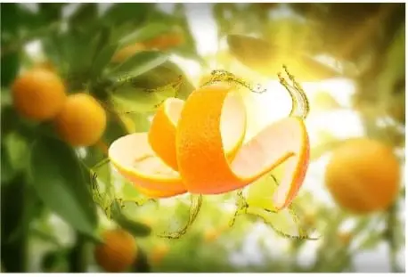 Modify Your Insecticide with Cide-Kick to Eliminate Any Disease