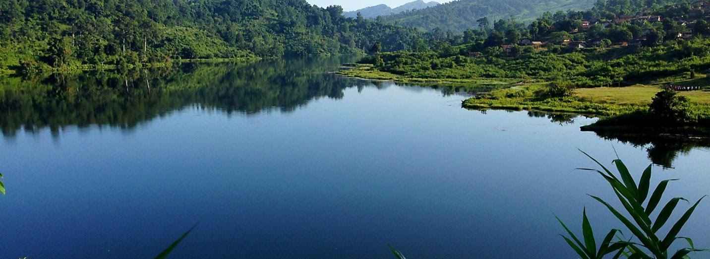 Tips on How to use Diquat Herbicide on Lakes and Ponds