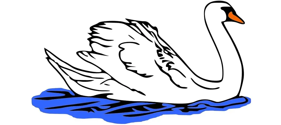 Cygnet Enterprises