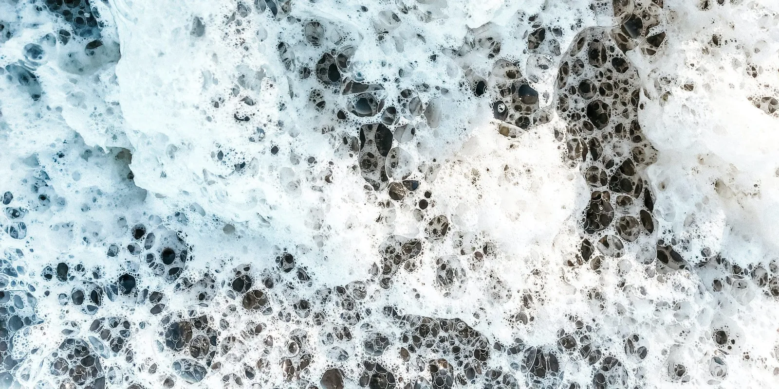 The Foam Factor: A Closer Look at Adjuvant Features