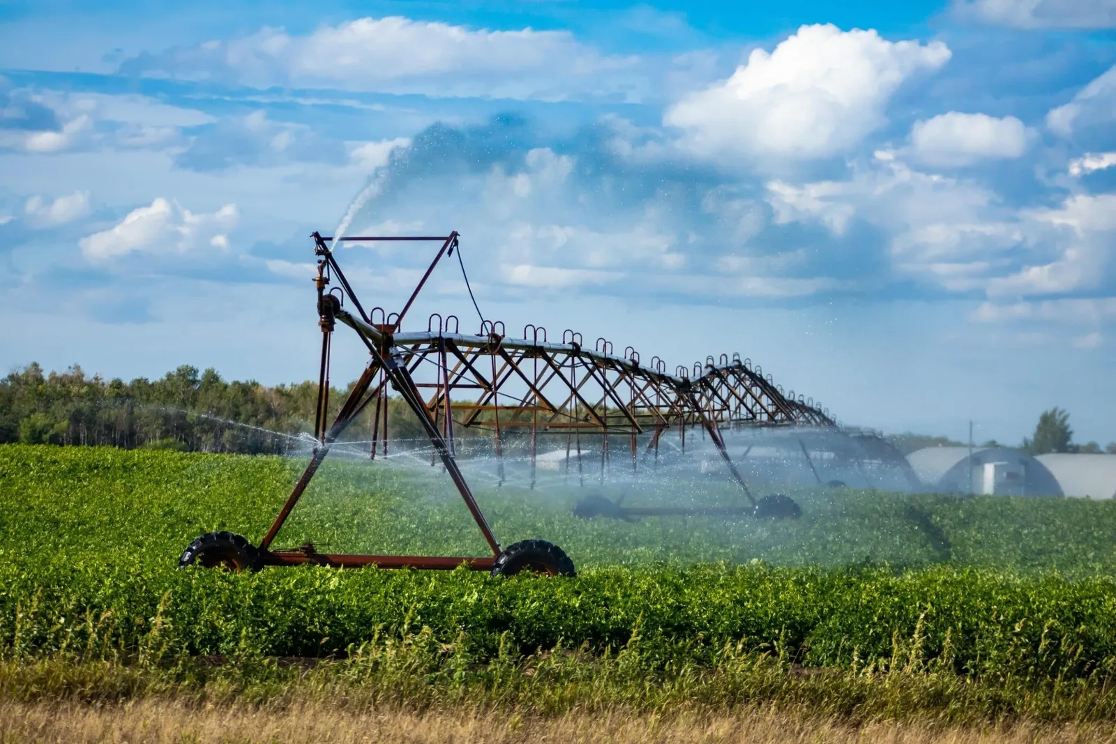 Why is Irrigation System Cleaning Necessary?