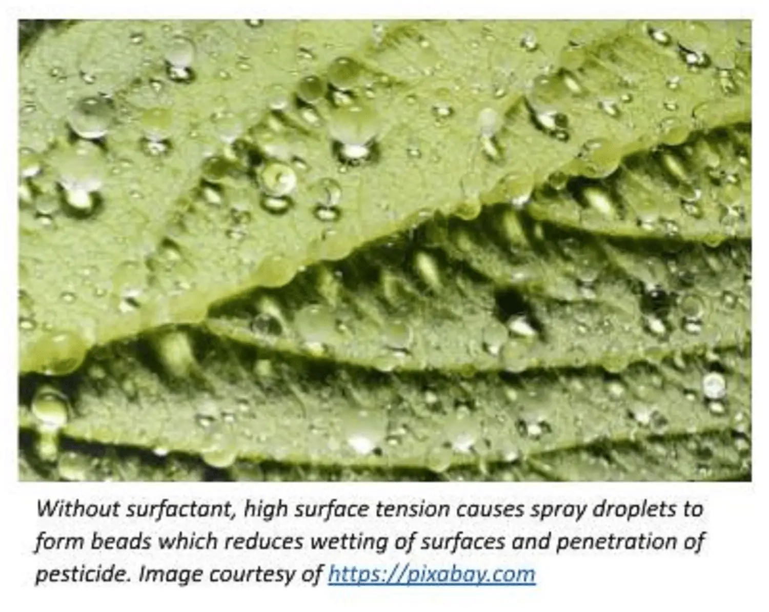 How Surfactants Affect Spray Droplet Size